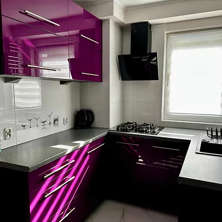 Gorska Ostoja Apartment Muszyna Exterior photo